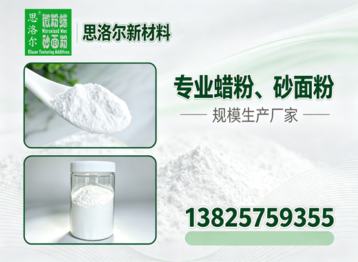 思洛尔连云港线上分站